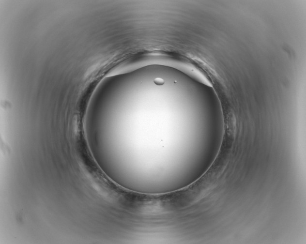 X0000091330740200708101425