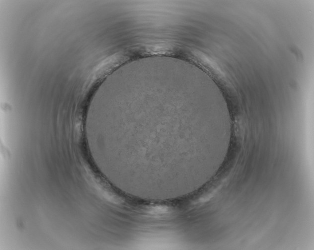 X0000091330741200708101425