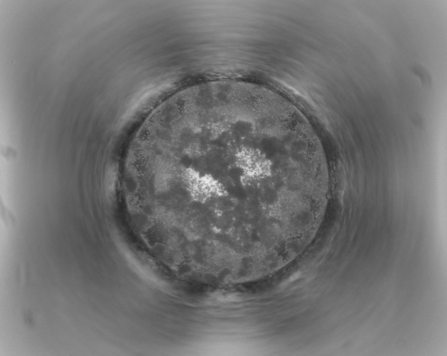 X0000091330742200708101425