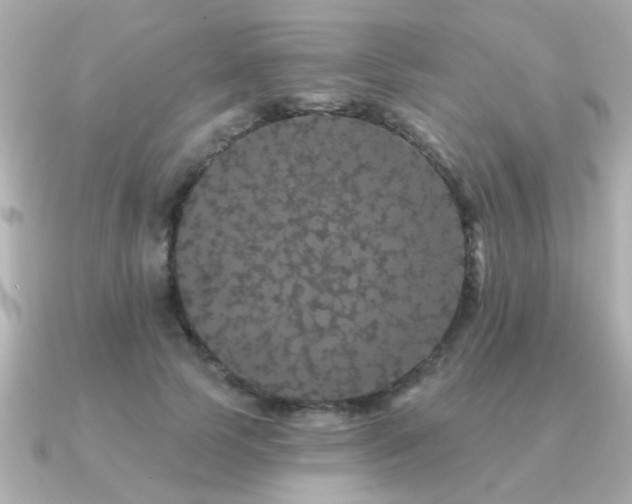 X0000091330745200708101425