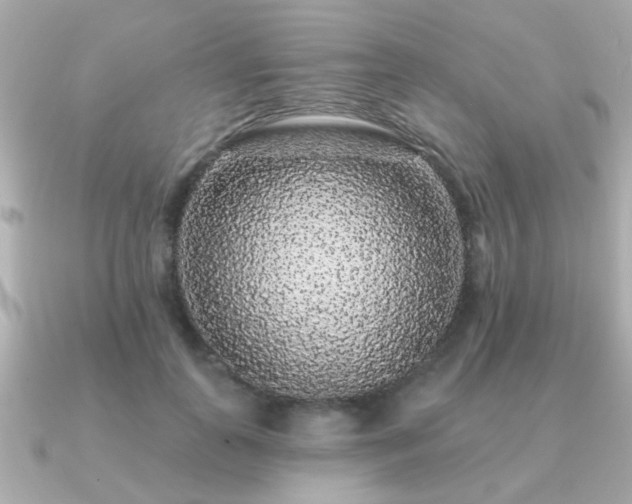 X0000091330747200708101425