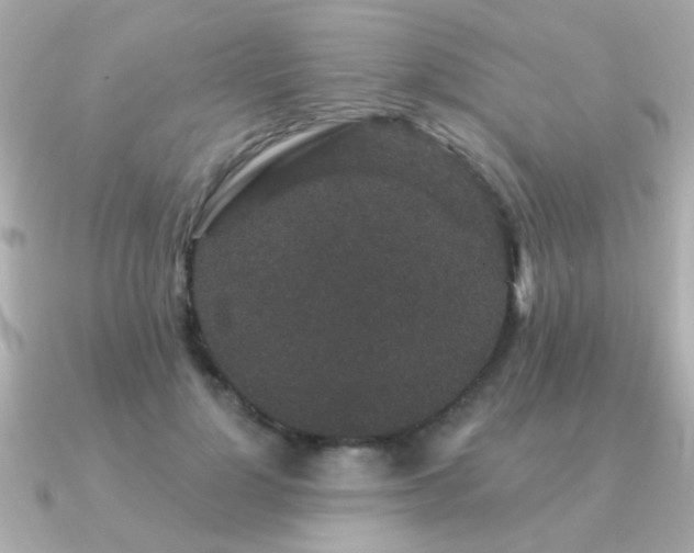 X0000091330748200708101425