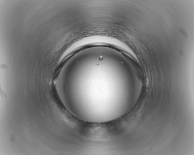 X0000091330750200708101425