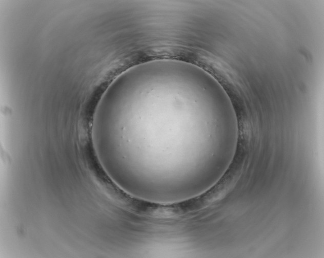 X0000091330751200708101425
