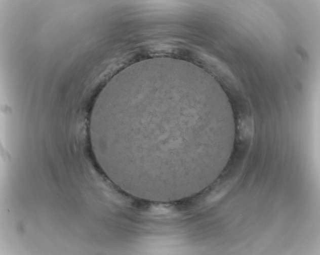 X0000091330753200708101425
