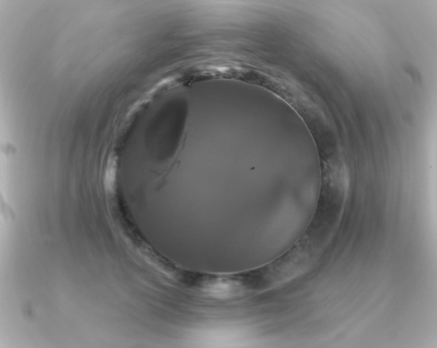 X0000091330754200708101425