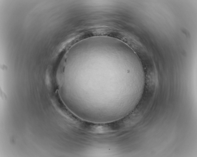 X0000091330755200708101425