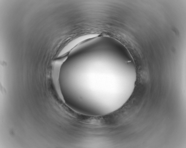X0000091330756200708101425