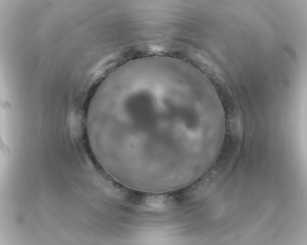 X0000091330757200708101425