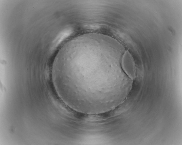 X0000091330758200708101425