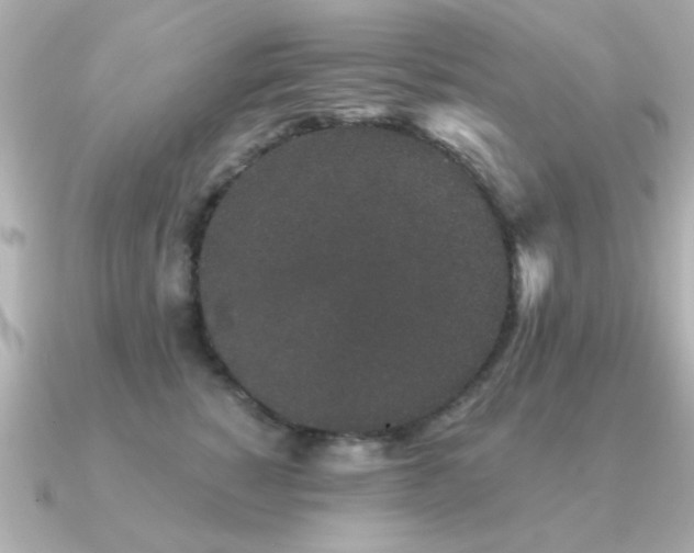 X0000091330760200708101426