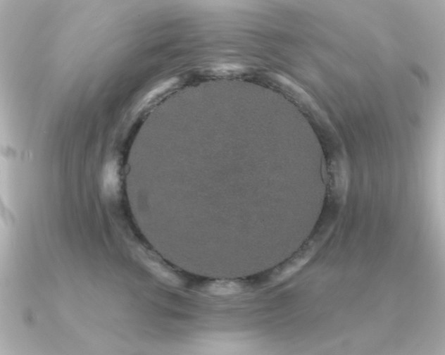 X0000091330762200708101426