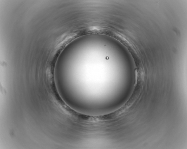 X0000091330764200708101426