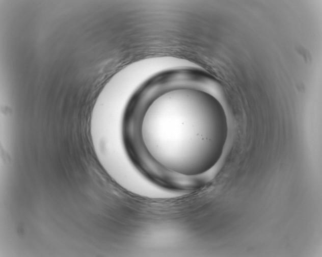 X0000091330768200708101426