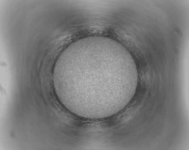 X0000091330769200708101425