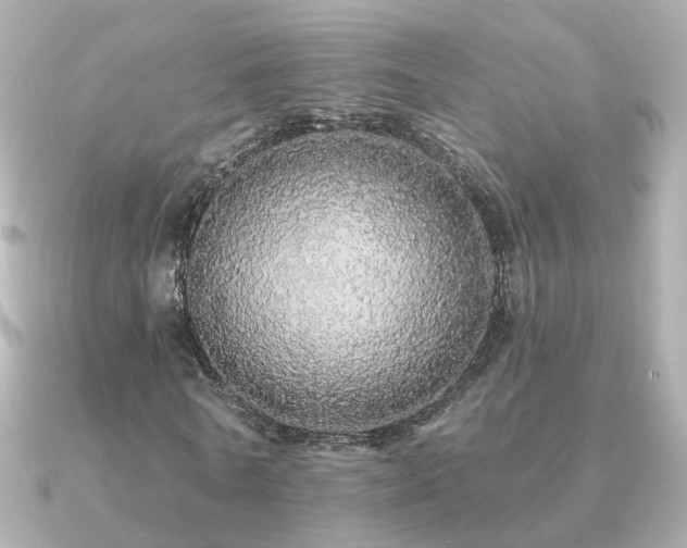 X0000091330770200708101425