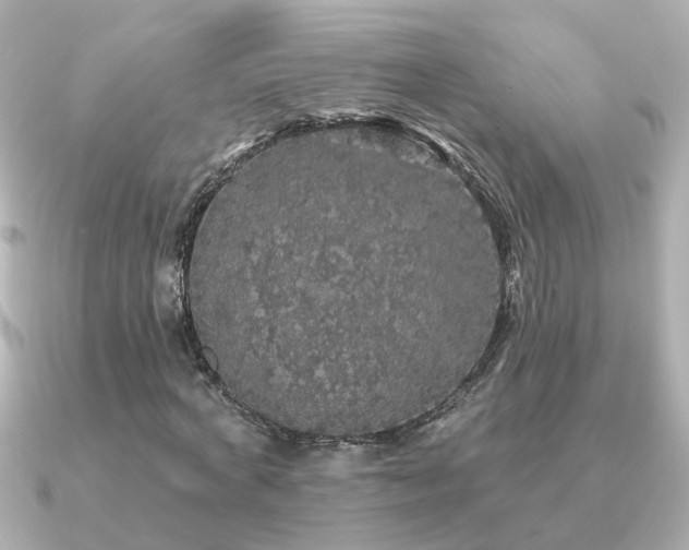 X0000091330772200708101425