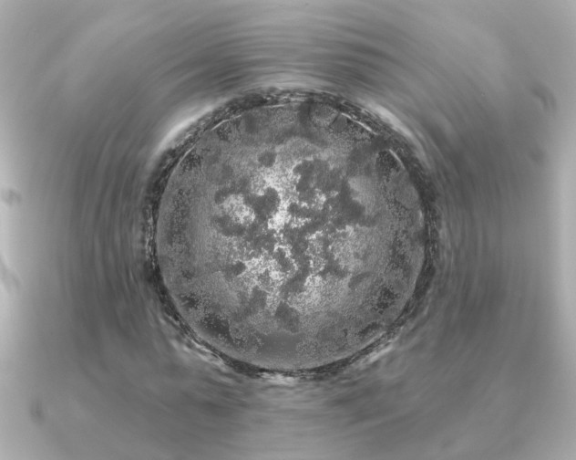 X0000091330775200708101425