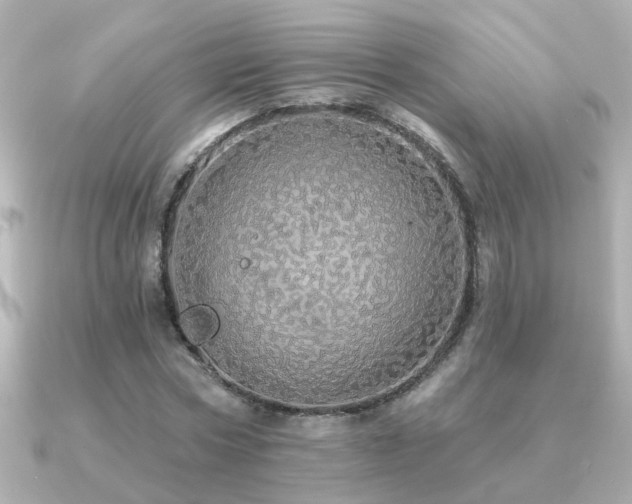 X0000091330778200708101425