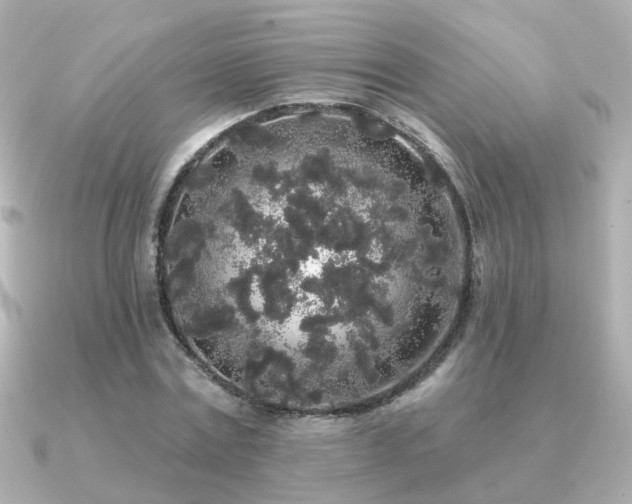 X0000091330779200708101425