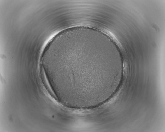 X0000091330780200708101425