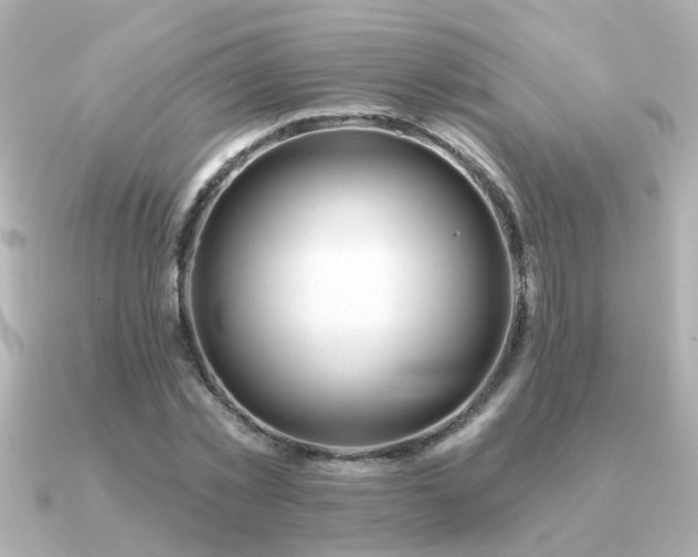 X0000091330781200708101425