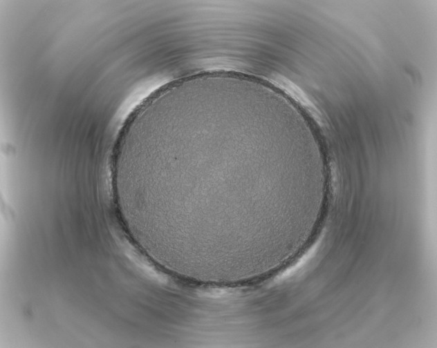 X0000091330782200708101425
