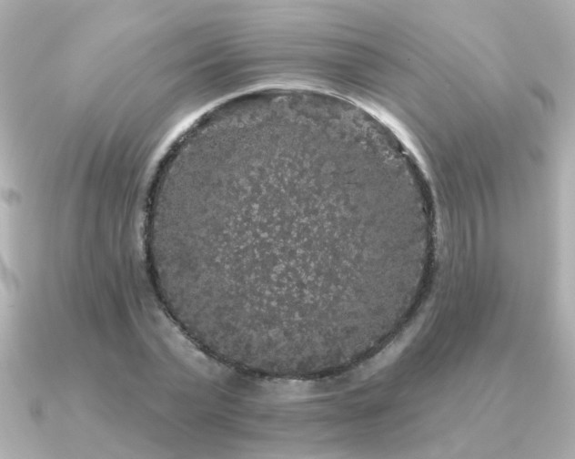 X0000091330783200708101425