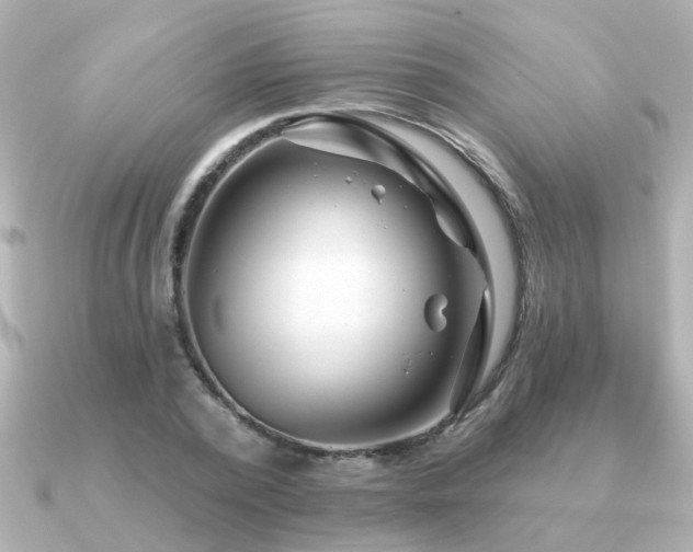 X0000091330784200708101425
