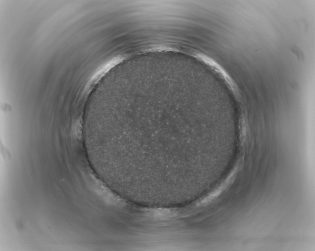 X0000091330785200708101425