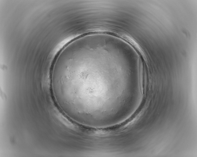 X0000091330787200708101425