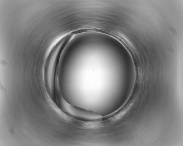 X0000091330788200708101425