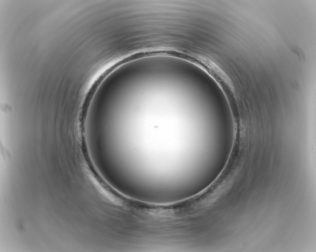 X0000091330789200708101425