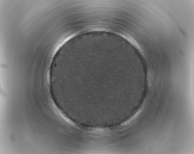 X0000091330790200708101425