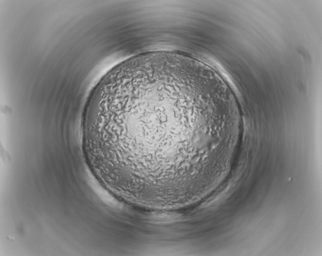 X0000091330795200708101425