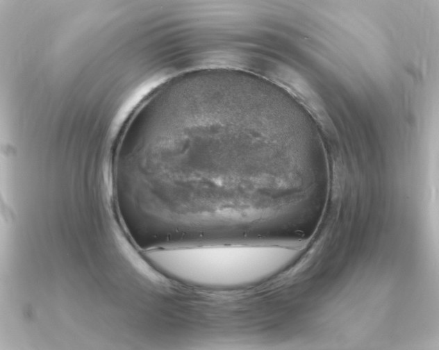 X0000091330796200708101425