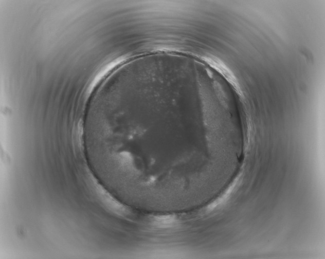 X0000091330798200708101425