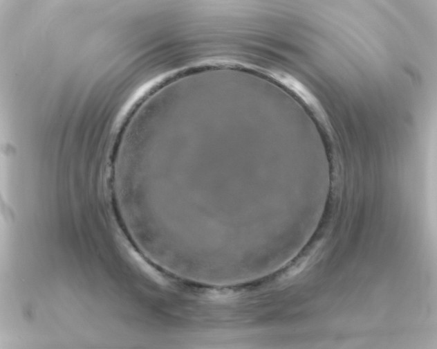 X0000091330799200708101425