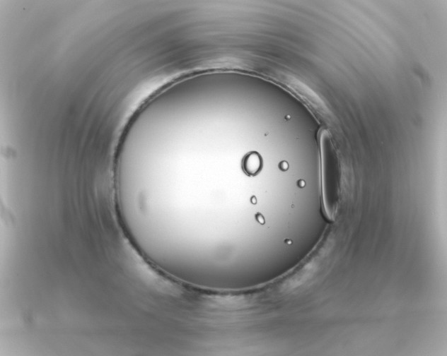 X0000091330800200708101425