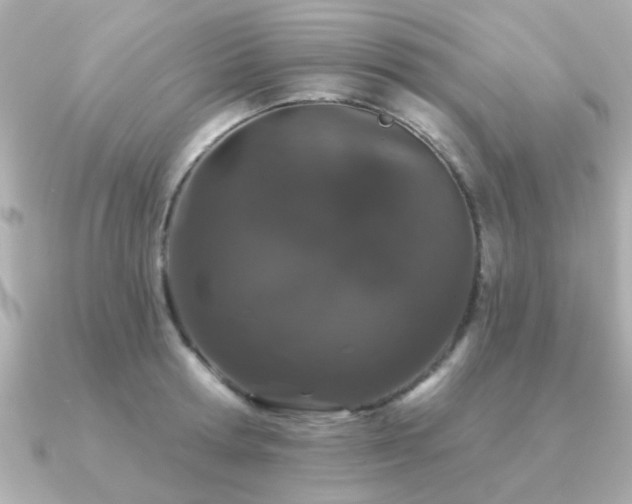 X0000091330802200708101425