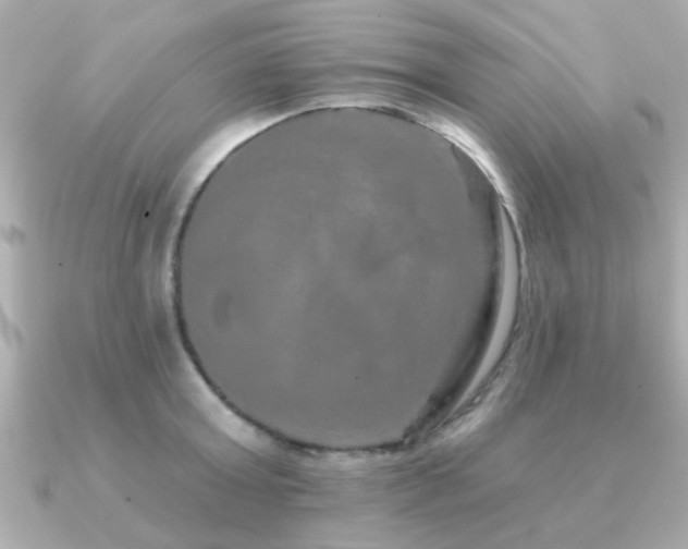 X0000091330803200708101425