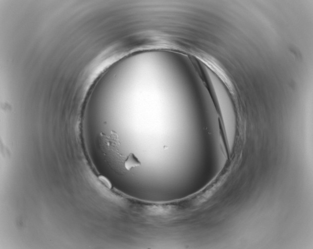 X0000091330805200708101425