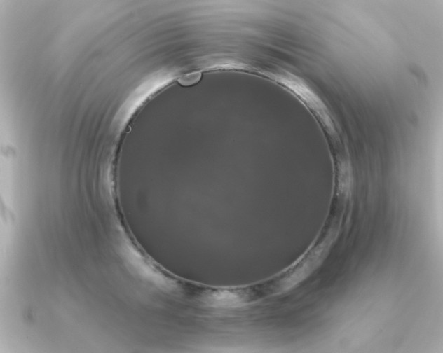 X0000091330806200708101425