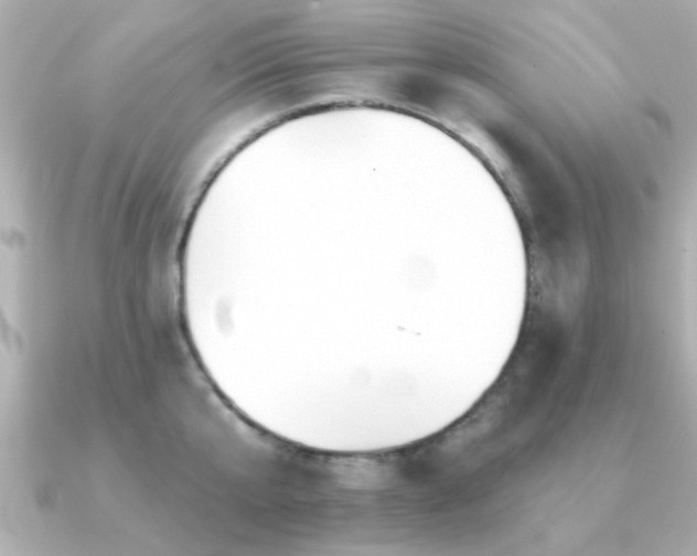X0000091330807200708101425