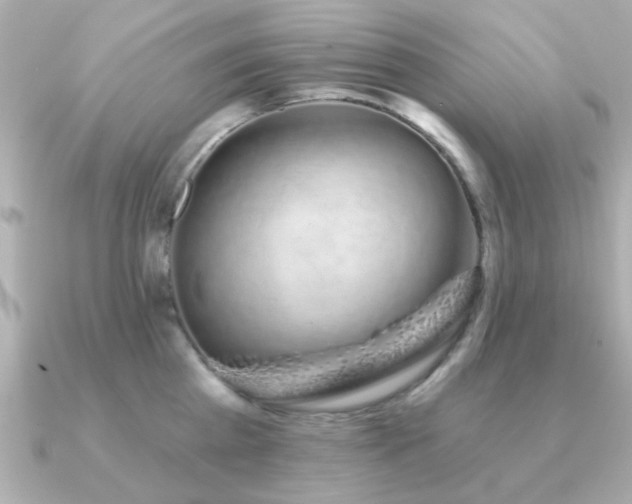 X0000091330809200708101425