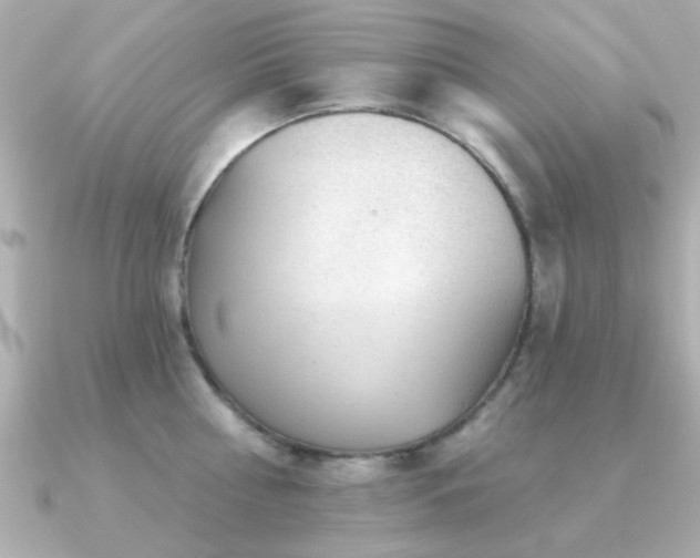 X0000091330810200708101425
