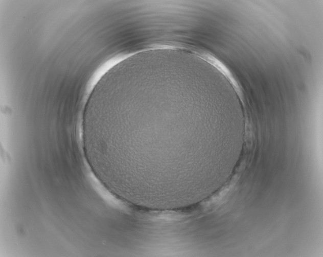 X0000091330811200708101425