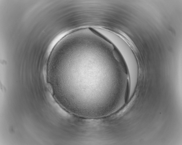 X0000091330812200708101425