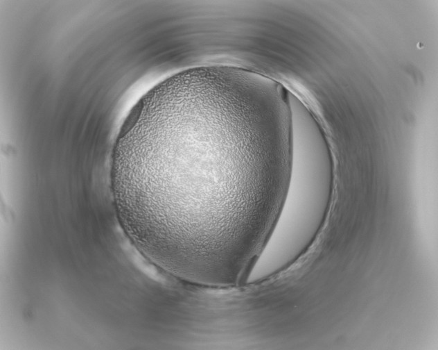 X0000091330816200708101425