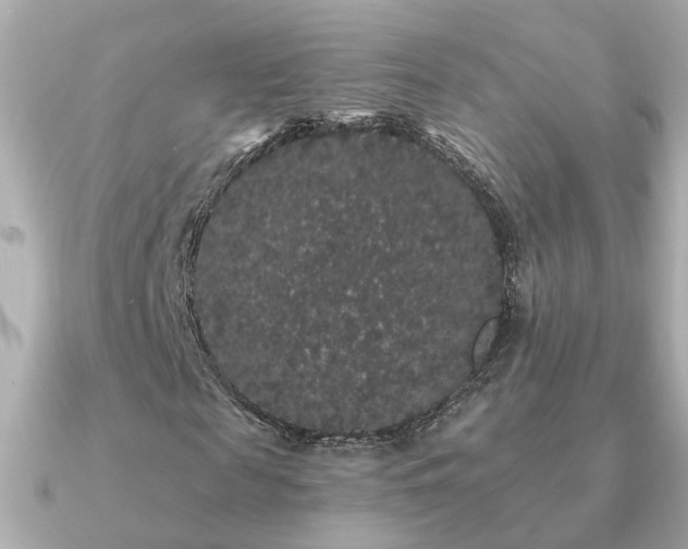 X0000091330817200708101424